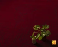 فرش وینتیج 227 لاکی سرمه‌ای