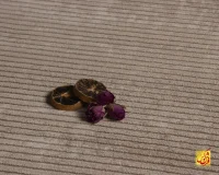 فرش مینیمال 3301 نسکافه‌ای کرم - Image 6