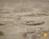 فرش کلاسیک 1521 بژ - تصویر 3