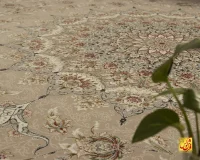 فرش کلاسیک فروغ بژ - Image 5