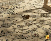 فرش کلاسیک کد 002_ رنگ 1101 کرم بژ