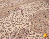 فرش کلاسیک 7535 کرم - تصویر 3